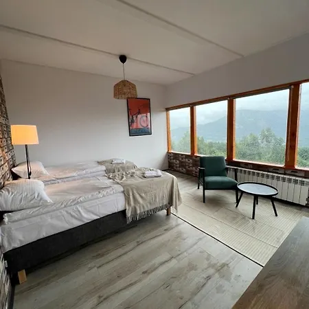 Michalowka Na Kubalowej Lace ゲストハウス