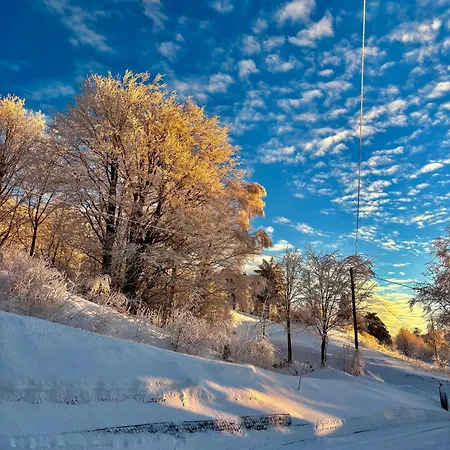 ゲストハウス Michalowka Na Kubalowej Lace シュチルク