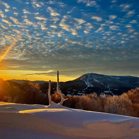 Guest house Michalowka Na Kubalowej Lace 3*