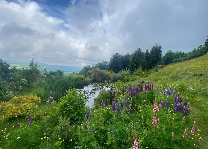 Michalowka Na Kubalowej Lace 3*