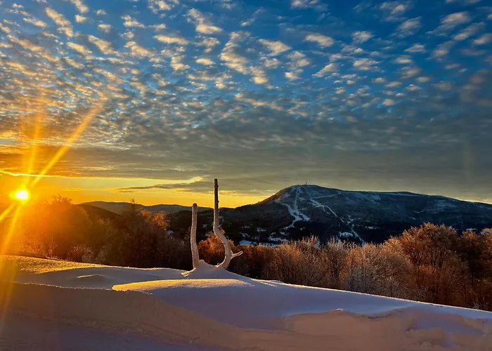 Casa de hóspedes Michałówka Na Kubalowej łące 3*